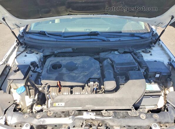 5NPE24AF2HH491440 2017 HYUNDAI SONATA White 