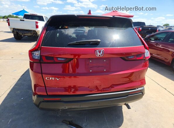 5J6RS3H76RL007819 2024 HONDA CR-V Burgundy 