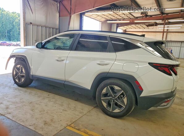 5NMJB3DEXSH460906 2025 HYUNDAI TUCSON Белый 