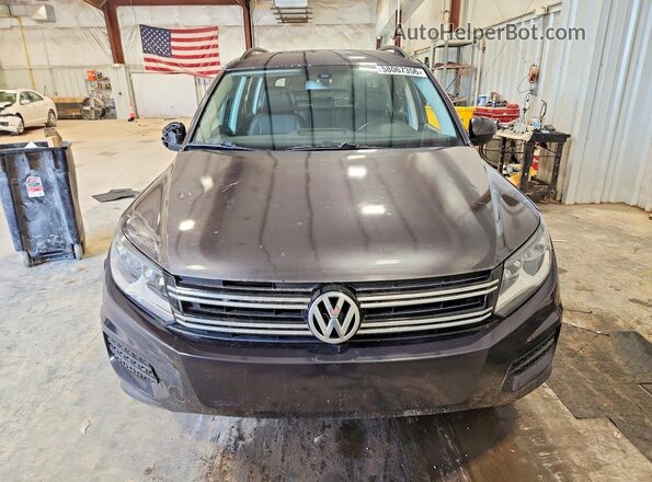 WVGAV7AX2GW601200 2016 VOLKSWAGEN TIGUAN Gray Rear view
