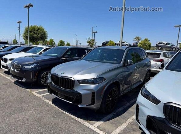 5UX13EU02S9X86691 2025 BMW X5 Серый Задняя правая четверть