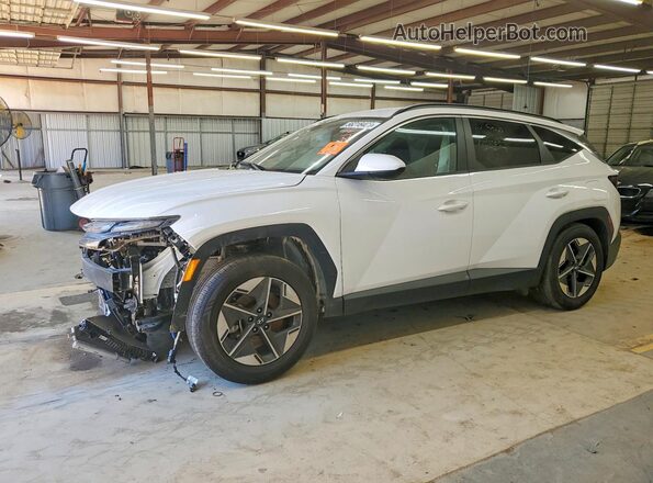 5NMJB3DEXSH460906 2025 HYUNDAI TUCSON Белый 