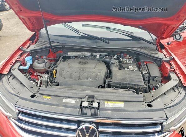 3VVNB7AX8PM066339 2023 VOLKSWAGEN TIGUAN Красный 