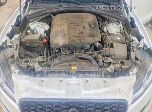 SADCJ2EX6PA707267 2023 JAGUAR F-PACE White Вид наклейки з VIN-кодом