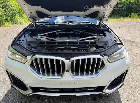 5UXCY6C0XL9D21128 2020 BMW X6 Белый 