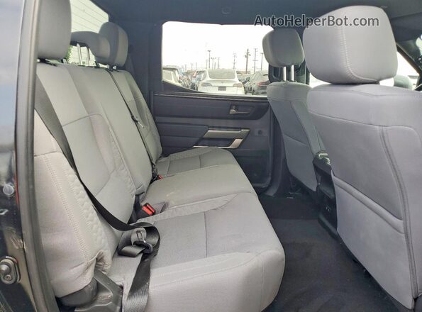 5TFLA5EC3SX046023 2025 TOYOTA TUNDRA Black Widok wnętrza z tyłu
