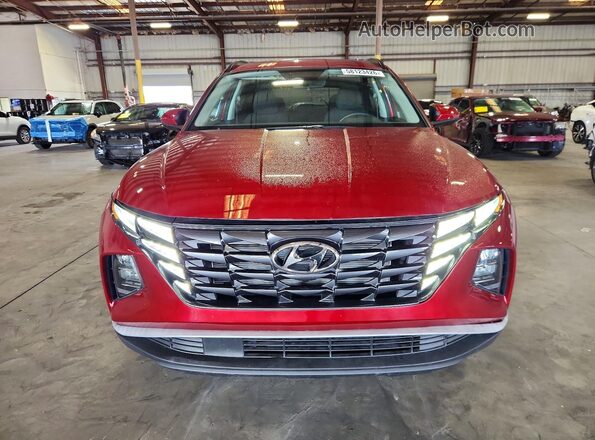 5NMJBCDE4RH411405 2024 HYUNDAI TUCSON Красный Вид сзади