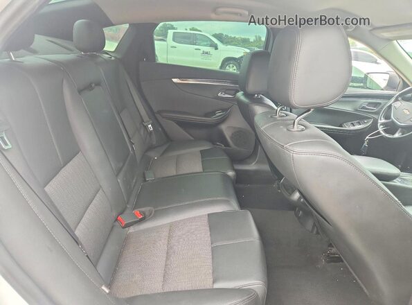 1G11Z5S35KU102445 2019 CHEVROLET IMPALA Белый Вид задней части салона