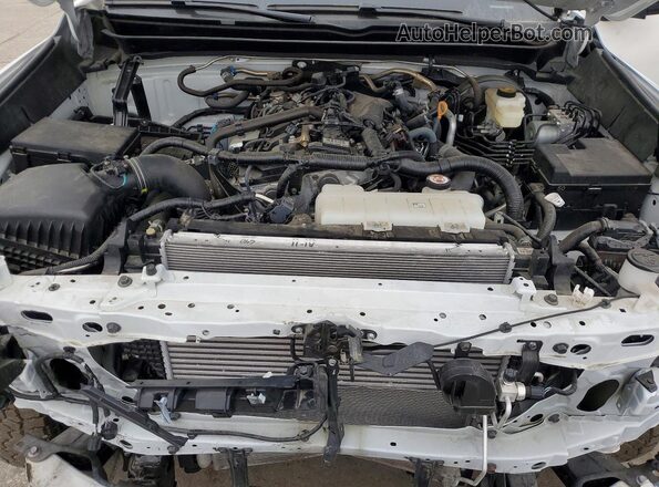 3TYJDAHNXRT017370 2024 TOYOTA TACOMA White 
