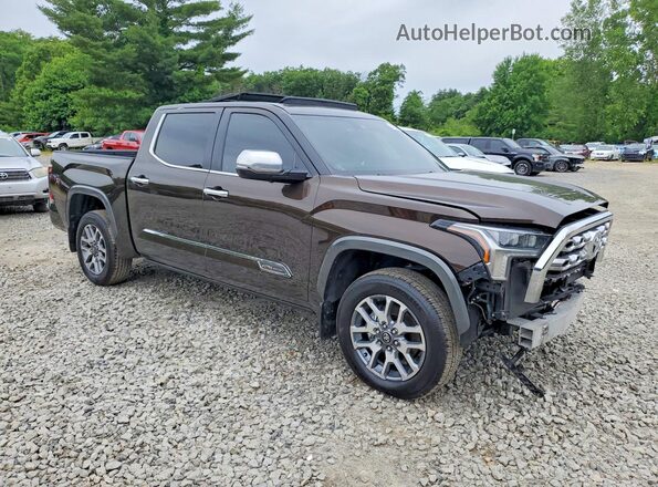 5TFMA5DB7SX305948 2025 TOYOTA TUNDRA Коричневый Вид спереди