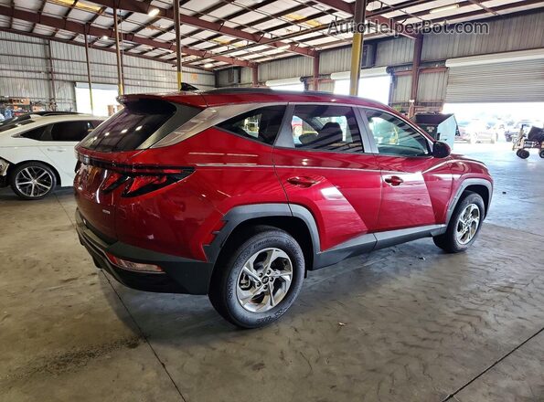 5NMJBCDE4RH411405 2024 HYUNDAI TUCSON Красный Передняя правая четверть
