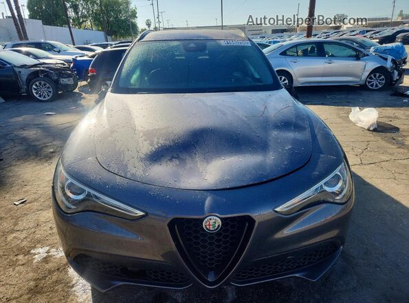 ZASPAJAN2L7C74055 2020 ALFA ROMEO STELVIO Серый Вид сзади