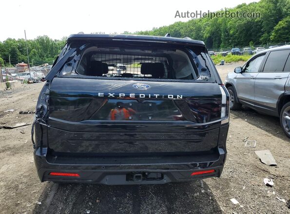 1FMJU1G82SEA12775 2025 FORD EXPEDITION Black Սալոնի դիմացի տեսք