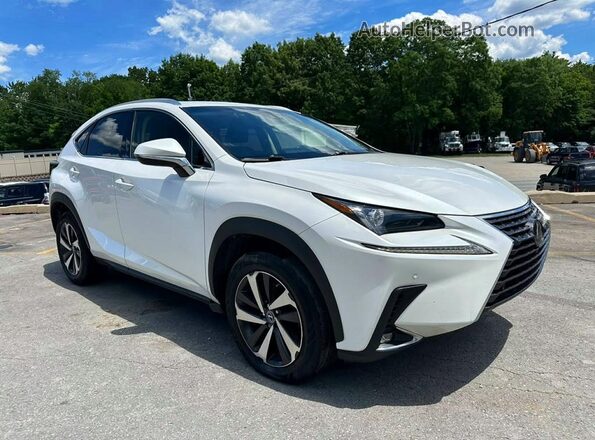 JTJBARBZ4K2179699 2019 LEXUS NX White Widok z przodu