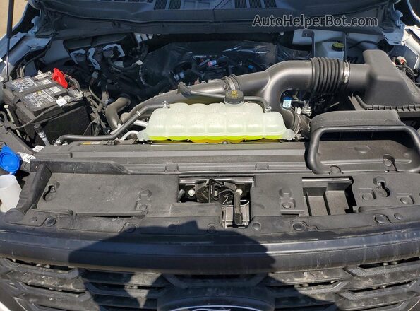 1FTEX1KP6TKD18862 2026 FORD F150 White Engine compartment view