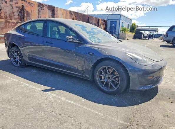 5YJ3E1EA0PF625161 2023 TESLA MODEL Gray 