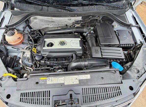 WVGRV7AX3HW506147 2017 VOLKSWAGEN TIGUAN Silver 