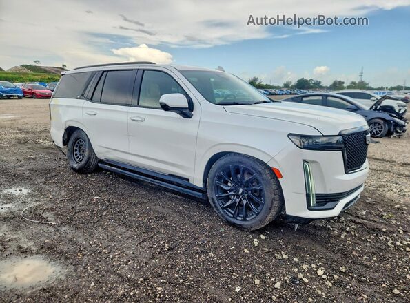 1GYS3FKLXPR495589 2023 CADILLAC ESCALADE White Вид спереду