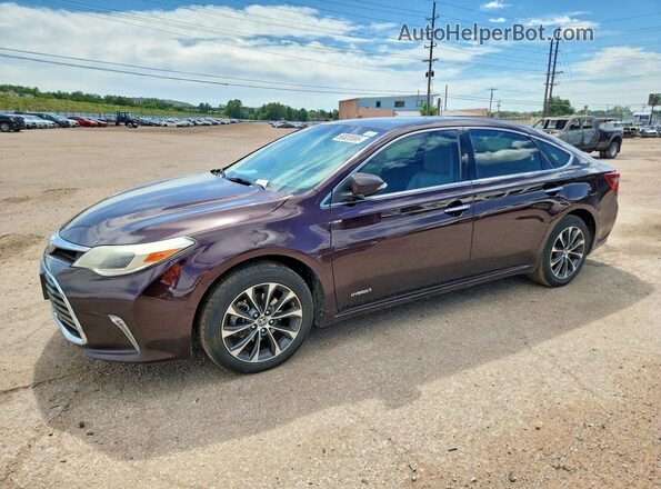 4T1BD1EB2GU051396 2016 TOYOTA AVALON Purple 