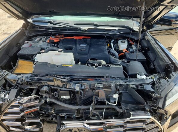 7SVAAABAXRX044546 2024 TOYOTA SEQUOIA Black 