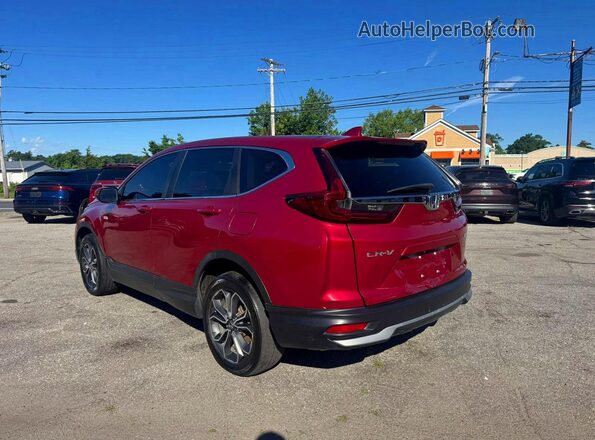5J6RW2H56LL018663 2020 HONDA CR-V Burgundy 