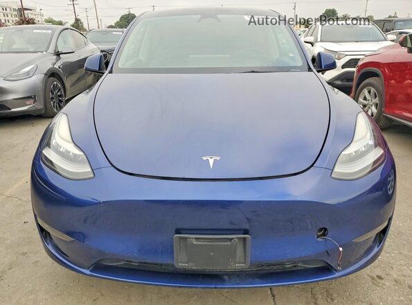 7SAYGDEEXNF429524 2022 TESLA MODEL Blue 