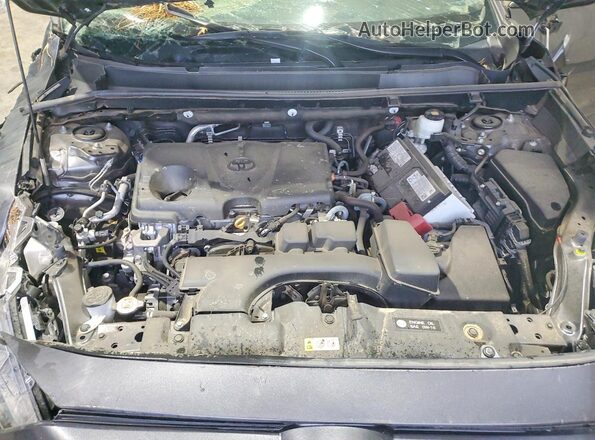 2T3W1RFV7RW308595 2024 TOYOTA RAV4 Gray VIN კოდის სტიკერის ხედი