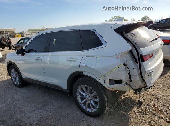 7FARS4H41RE003606 2024 HONDA CR-V Белый Задняя левая четверть