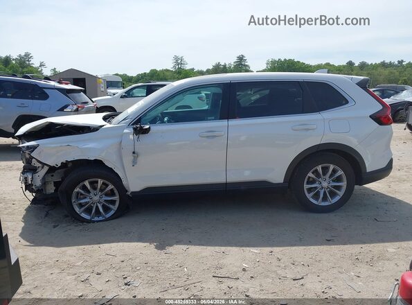 7FARS4H4XSE019597 2025 HONDA CR-V White Вид задньої частини салону
