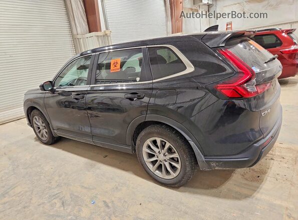 7FARS4H72PE007901 2023 HONDA CR-V Black Հետևի ձախ