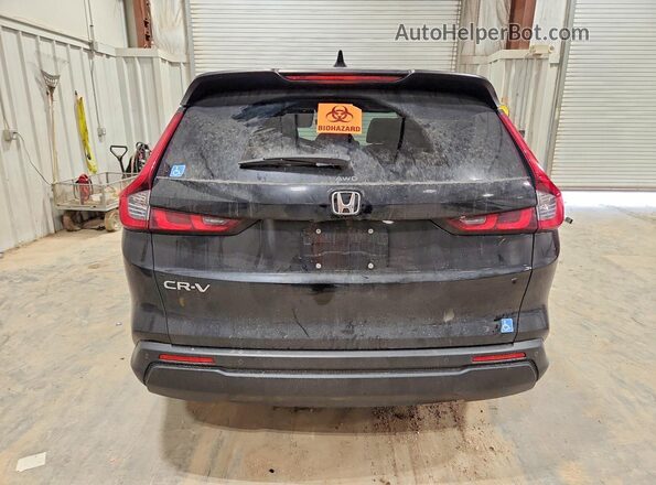 7FARS4H72PE007901 2023 HONDA CR-V Black Հետևի տեսք