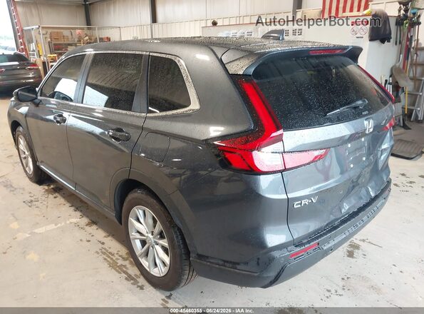 7FARS4H79RE009132 2024 HONDA CR-V Gray უკანა მარცხენა