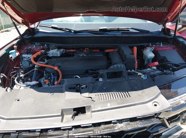 7FARS5H54RE024285 2024 HONDA CR-V Красный Вид сзади