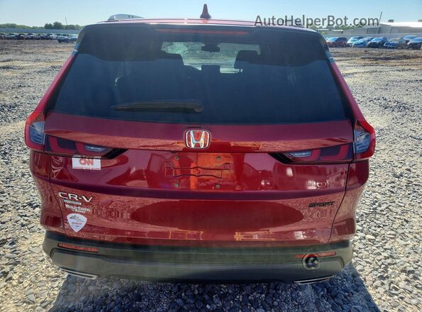 7FARS5H57PE004545 2023 HONDA CR-V Red Вид ззаду