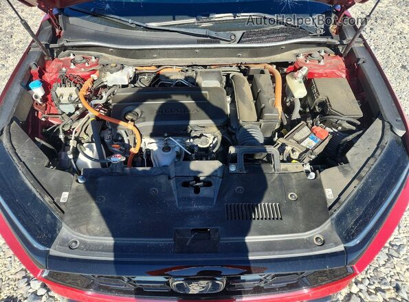 7FARS5H57PE004545 2023 HONDA CR-V Red Вид задньої частини салону