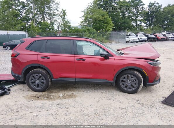 7FARS6H62TE057629 2026 HONDA CR-V Red Սալոնի հետևի տեսք