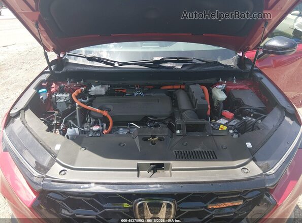 7FARS6H66TE044043 2026 HONDA CR-V Красный Вид сзади