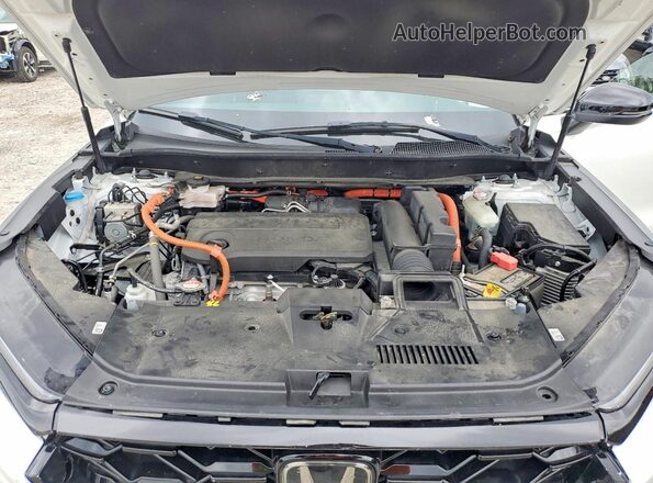 7FARS6H80RE005491 2024 HONDA CR-V White 
