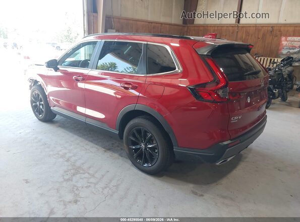 7FARS6H80RE054948 2024 HONDA CR-V Красный Задняя левая четверть
