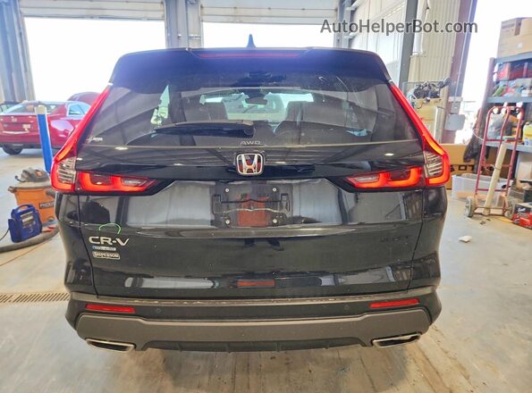 7FARS6H80SE042885 2025 HONDA CR-V Black Вид ззаду