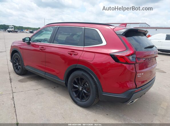 7FARS6H81RE042291 2024 HONDA CR-V Red უკანა მარცხენა