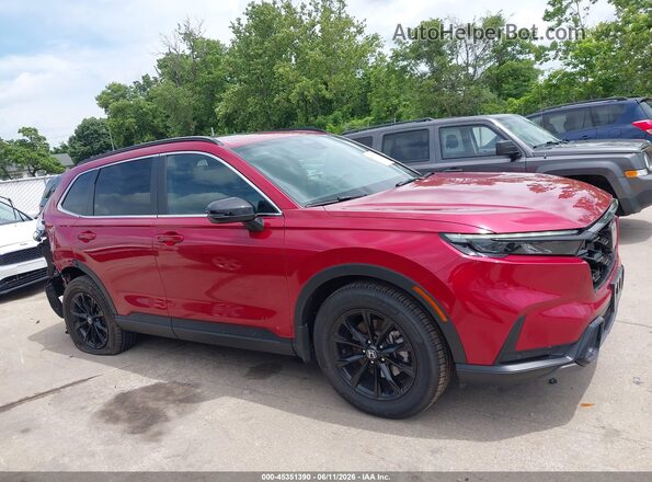7FARS6H81RE042291 2024 HONDA CR-V Red უკანა სალონის ხედი