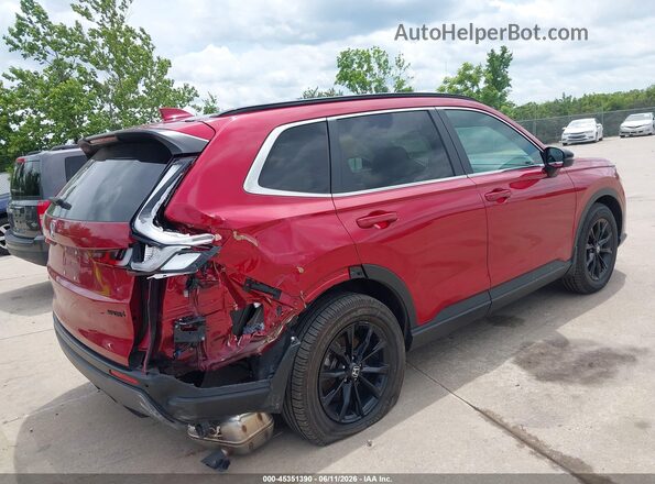 7FARS6H81RE042291 2024 HONDA CR-V Red უკანა მარჯვენა