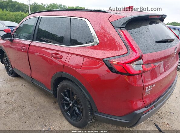 7FARS6H88SE033044 2025 HONDA CR-V Красный Задняя левая четверть