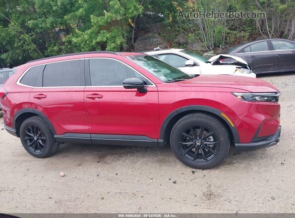 7FARS6H88SE033044 2025 HONDA CR-V Красный Панорамный вид салона 360°