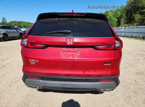 7FARS6H94PE000624 2023 HONDA CR-V Red Հետևի տեսք