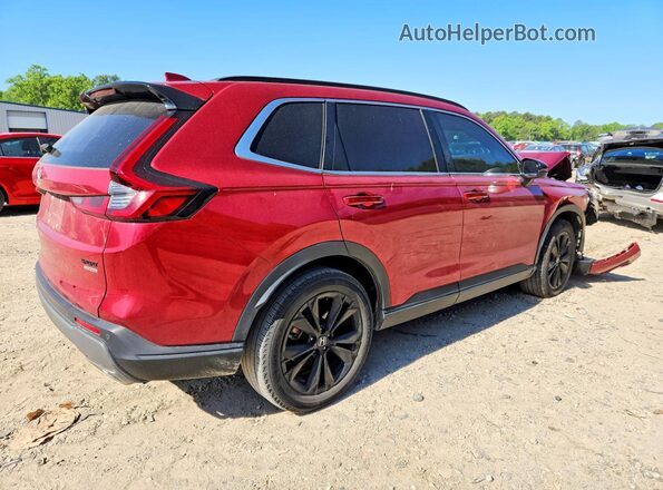 7FARS6H94PE000624 2023 HONDA CR-V Red Հետևի աջ