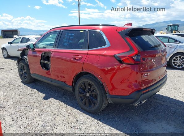 7FARS6H96PE011415 2023 HONDA CR-V Red უკანა მარცხენა