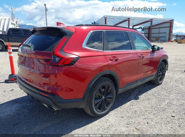 7FARS6H96PE011415 2023 HONDA CR-V Red უკანა მარჯვენა