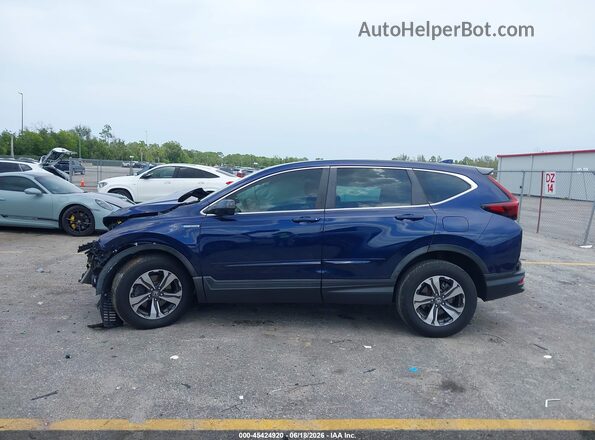 7FART6H28LE008185 2020 HONDA CR-V Blue უკანა სალონის ხედი